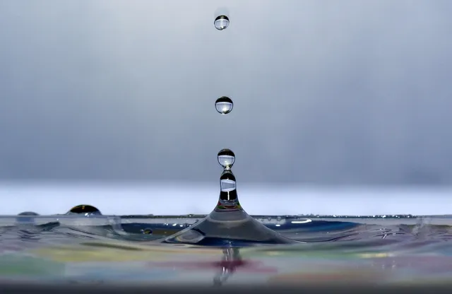 wasser_2018_50