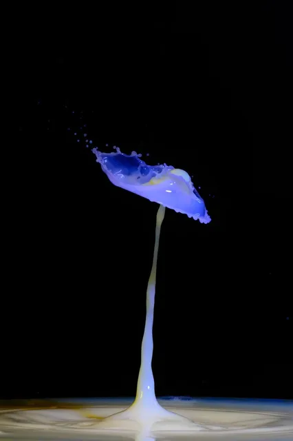 wasser_2018_05
