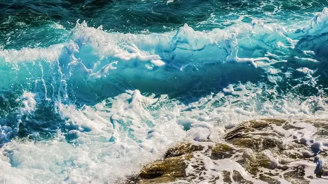 wasser_2018_37