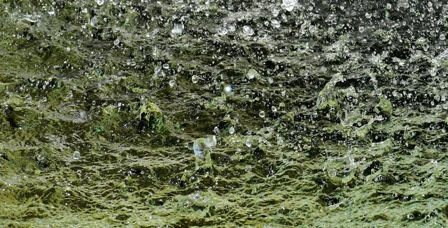 wasser_2018_13