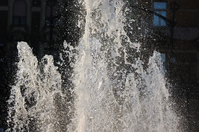 wasser_2018_39