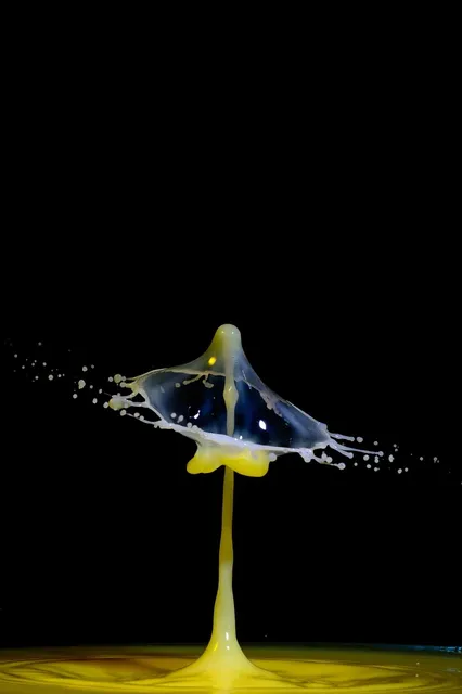 wasser_2018_46