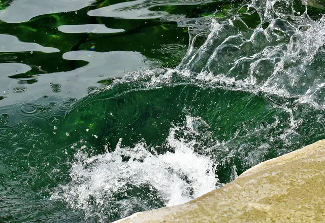 wasser_2018_35