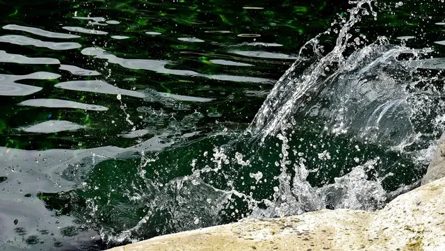 wasser_2018_38